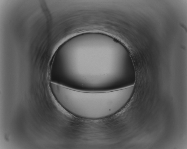 X0000093421526200710120846
