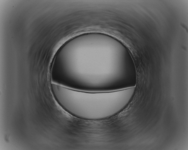 X0000093421527200710120846