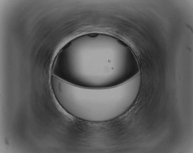 X0000093421528200710120846