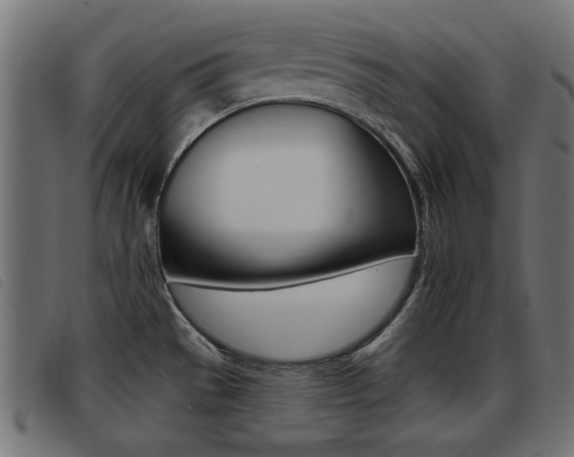 X0000093421529200710120846