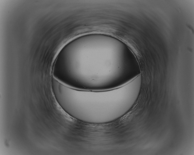 X0000093421532200710120846