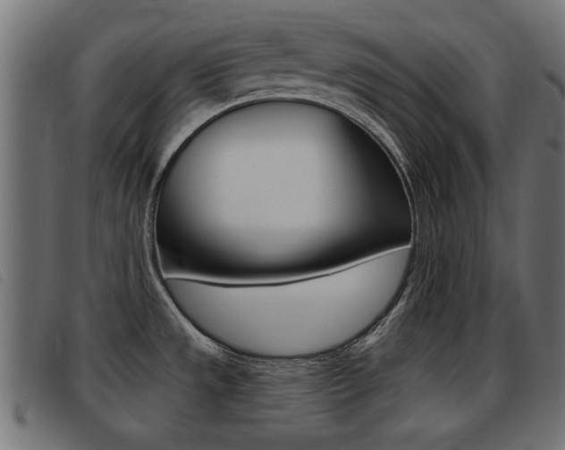 X0000093421533200710120846