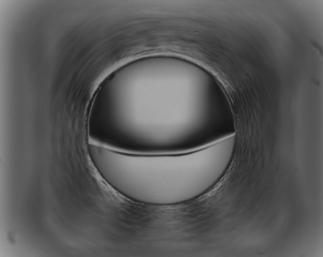 X0000093421534200710120846