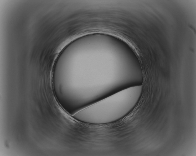 X0000093421535200710120846