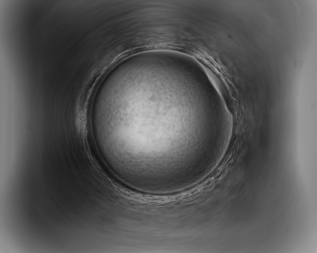 X0000093420002200710121152