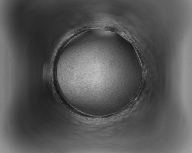 X0000093420006200710121152