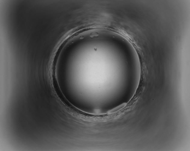 X0000093420007200710121152