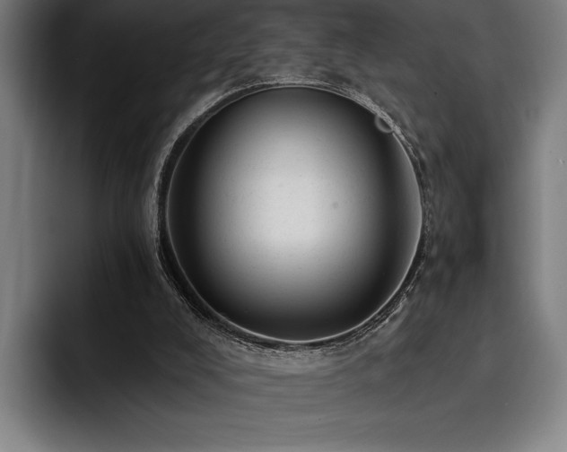 X0000093420008200710121152