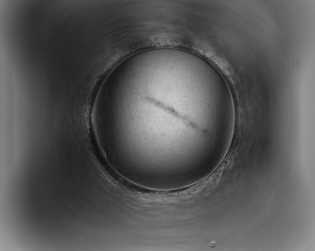 X0000093420009200710121152