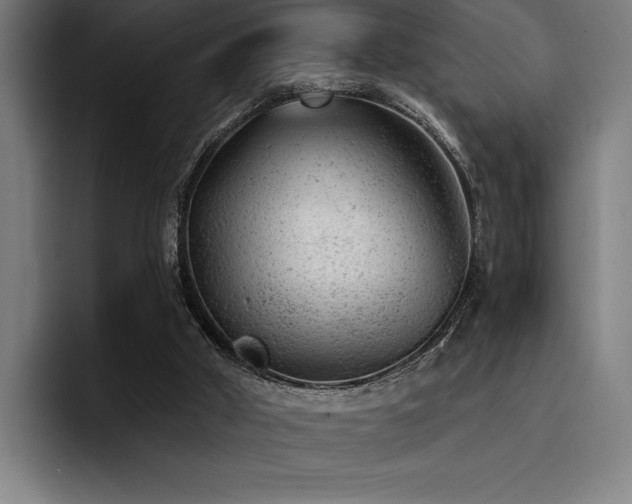 X0000093420010200710121152