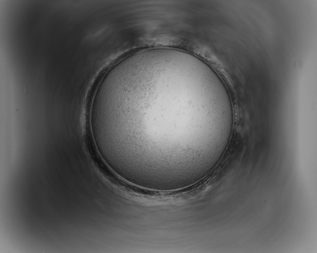 X0000093420012200710121152
