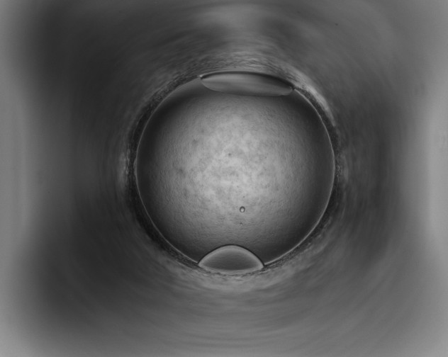 X0000093420018200710121152