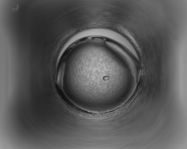 X0000093420019200710121152