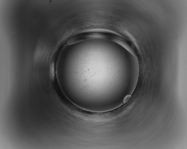 X0000093420020200710121152