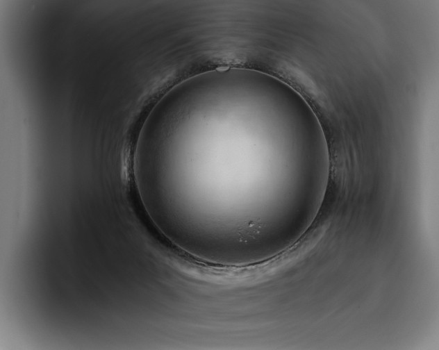 X0000093420023200710121152