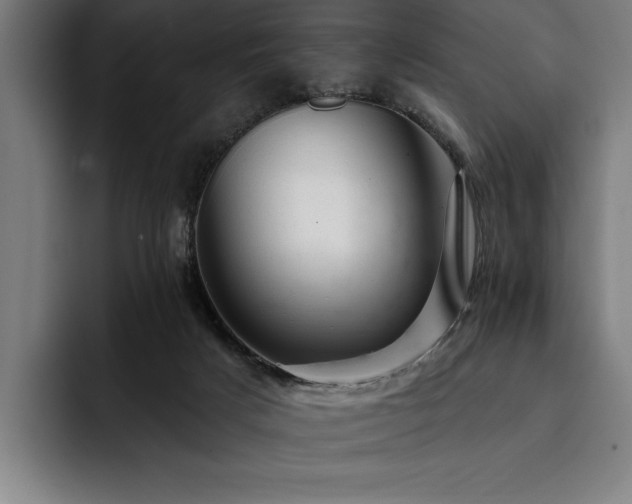X0000093420025200710121152