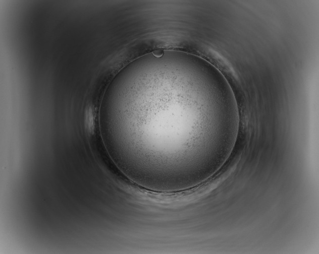 X0000093420026200710121152