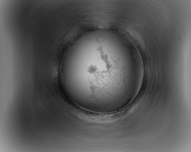 X0000093420032200710121151