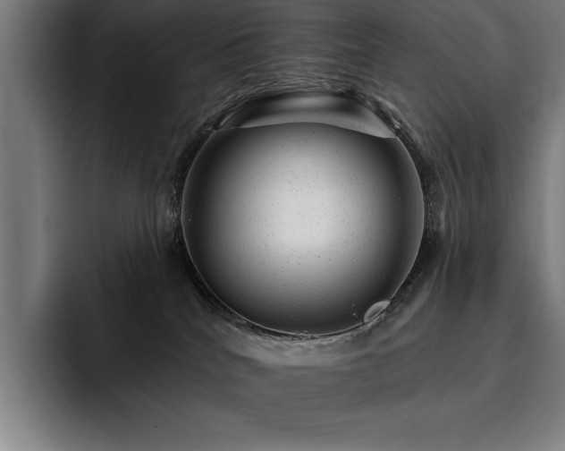 X0000093420040200710121151