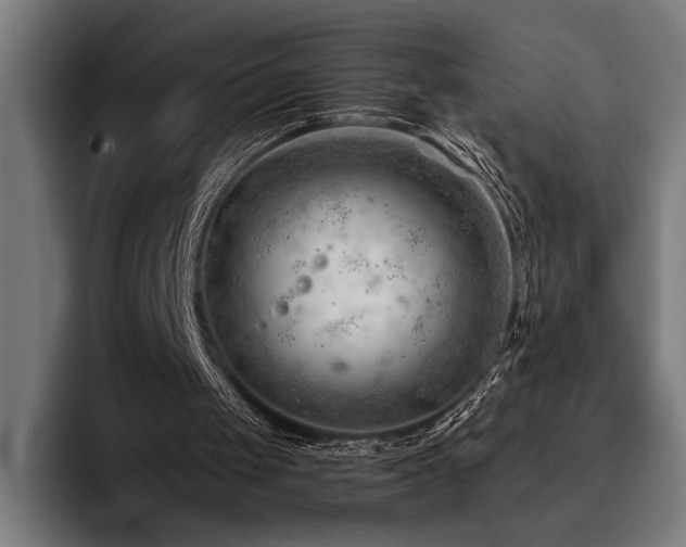 X0000093420049200710121151