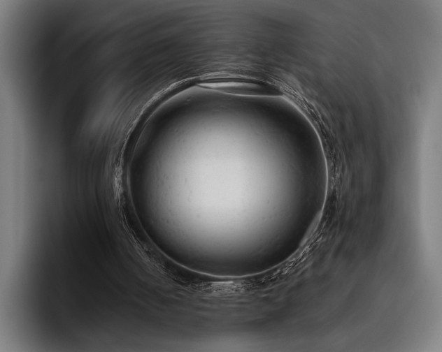 X0000093420050200710121151