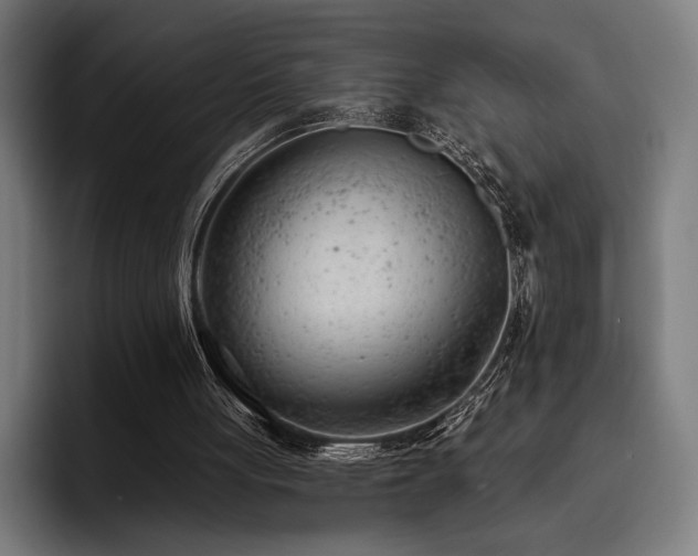 X0000093420051200710121151