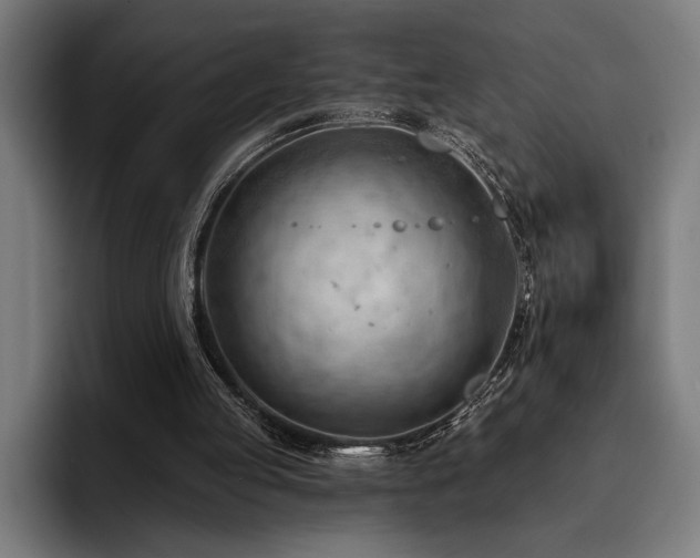X0000093420053200710121151