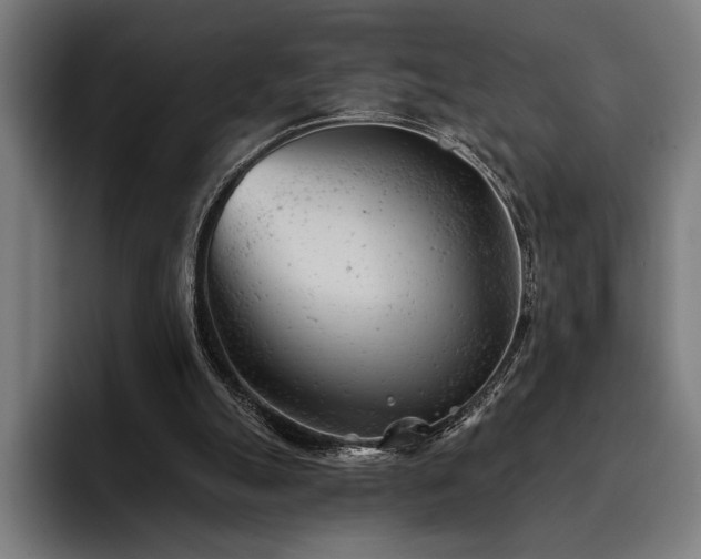 X0000093420055200710121151