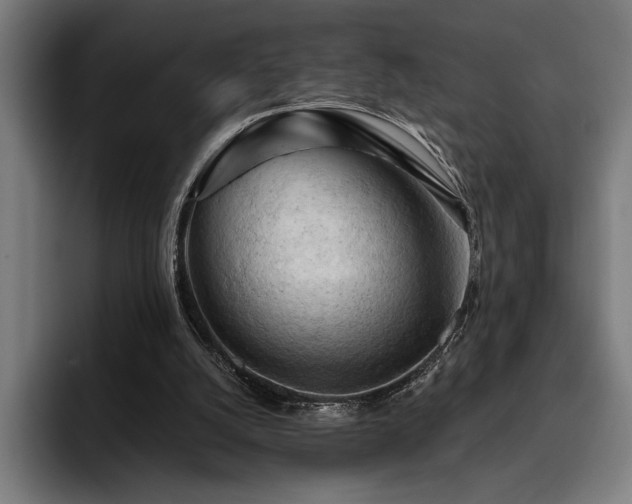 X0000093420056200710121151