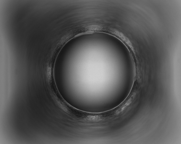 X0000093420057200710121151
