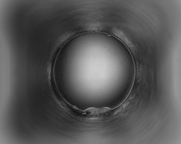 X0000093420058200710121151