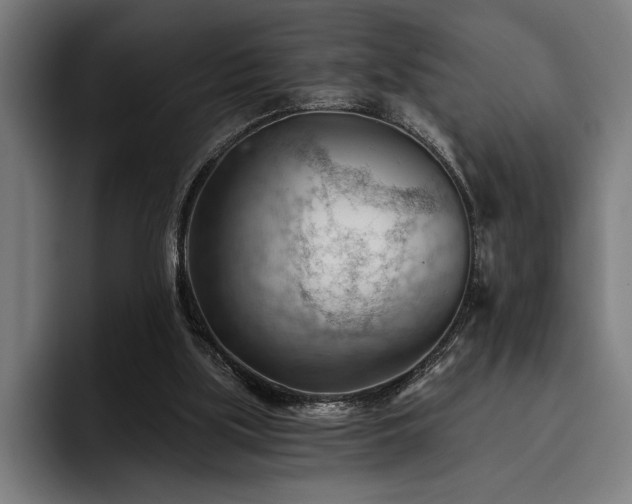X0000093420059200710121151