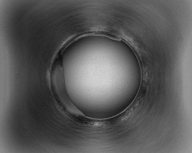 X0000093420060200710121151
