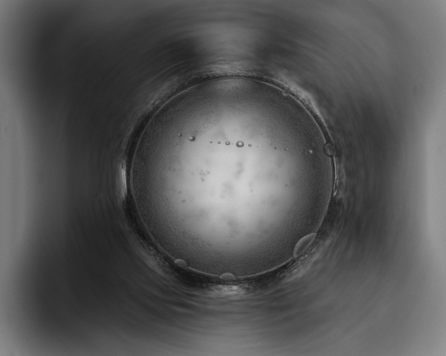 X0000093420061200710121151