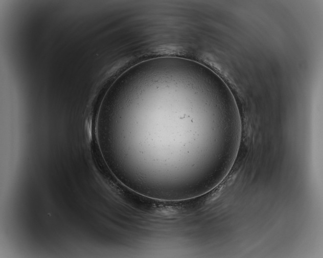 X0000093420062200710121151