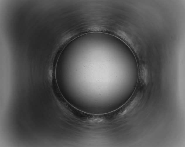 X0000093420063200710121151