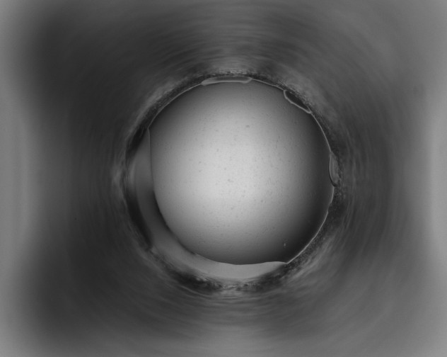 X0000093420064200710121151