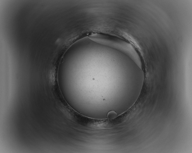 X0000093420065200710121151