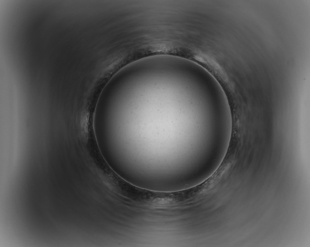 X0000093420066200710121151