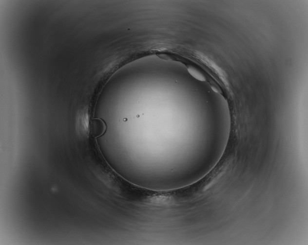 X0000093420067200710121151