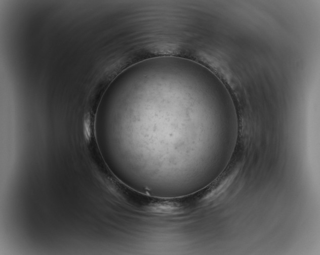 X0000093420069200710121151
