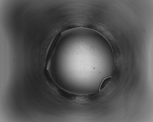 X0000093420070200710121151