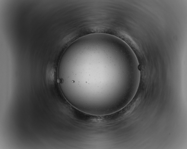 X0000093420071200710121151