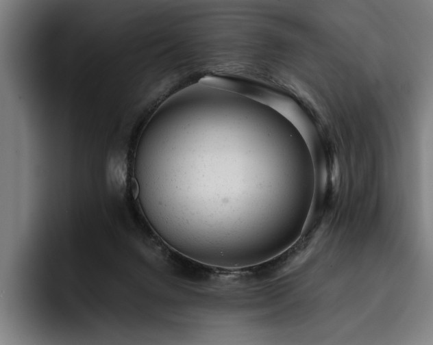 X0000093420072200710121151