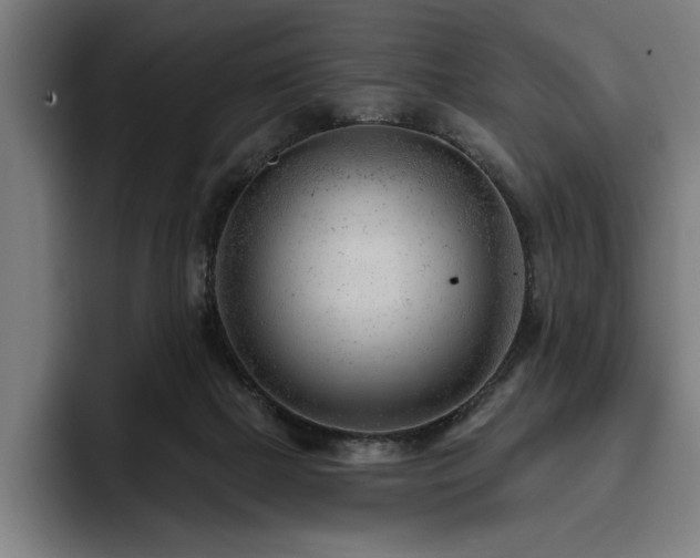X0000093420073200710121151