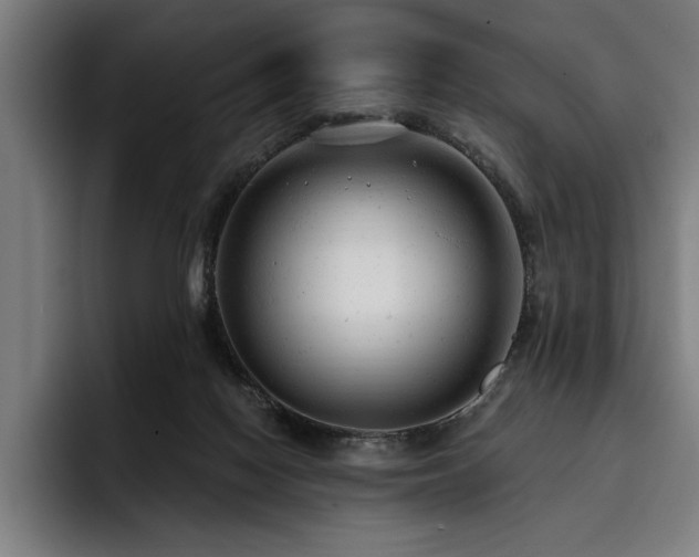 X0000093420074200710121151