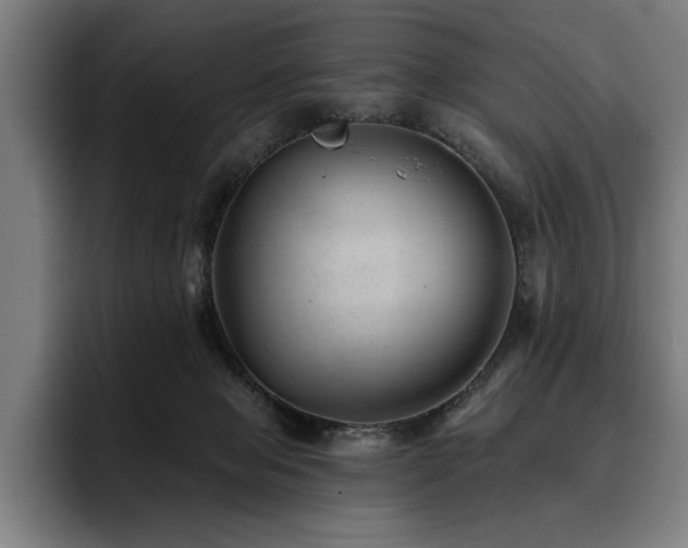 X0000093420077200710121151