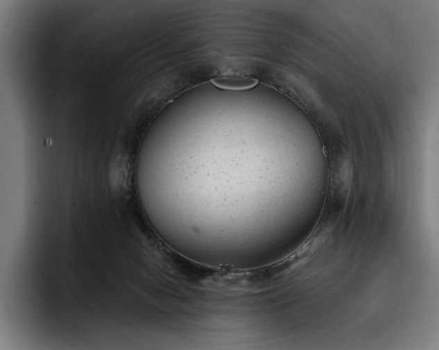 X0000093420078200710121151