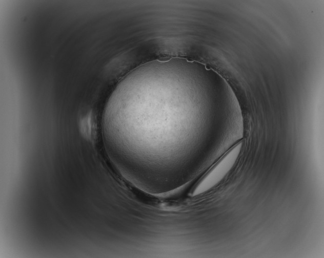 X0000093420080200710121151