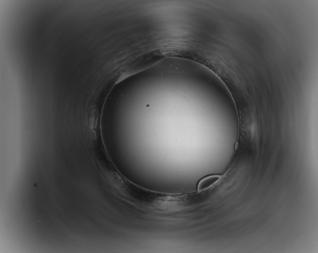 X0000093420082200710121151